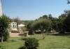 Foto_7163.jpg