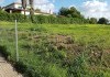 Foto_15865.jpg