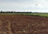 Foto_21959.jpg