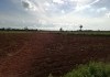 Foto_21967.jpg