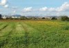 Foto_21971.jpg