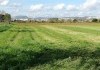 Foto_21973.jpg