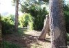 Foto_25401.jpg