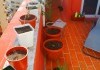 Foto_26593.jpg